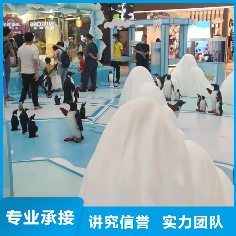 海洋主题动物表演羊驼出租质优价廉