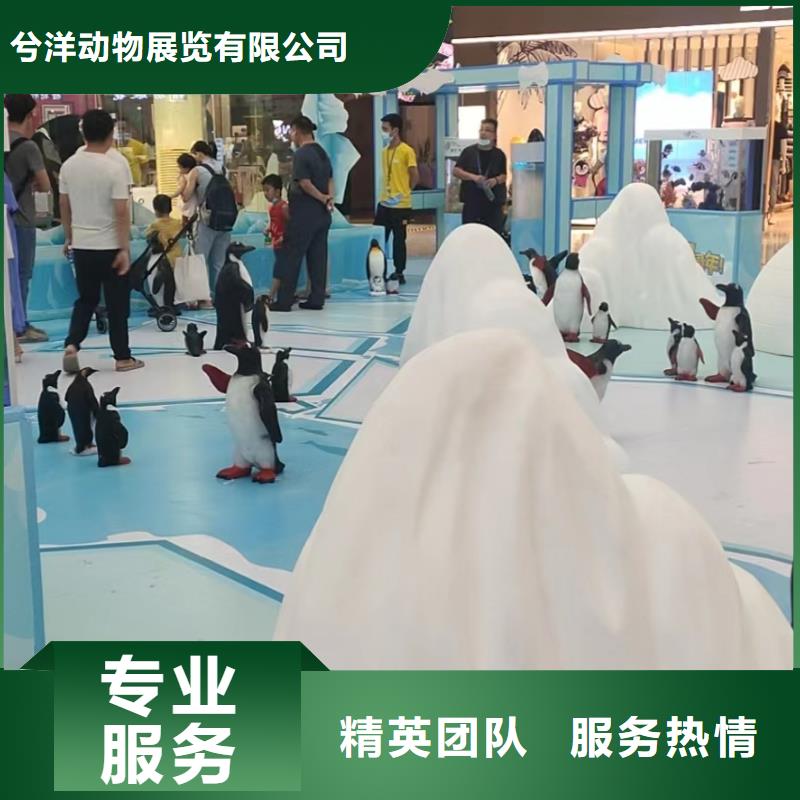 【海洋主题动物表演】海洋展租赁专业可靠