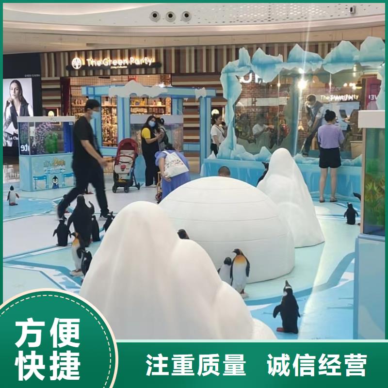 海洋主题动物表演鹦鹉表演租赁价格美丽