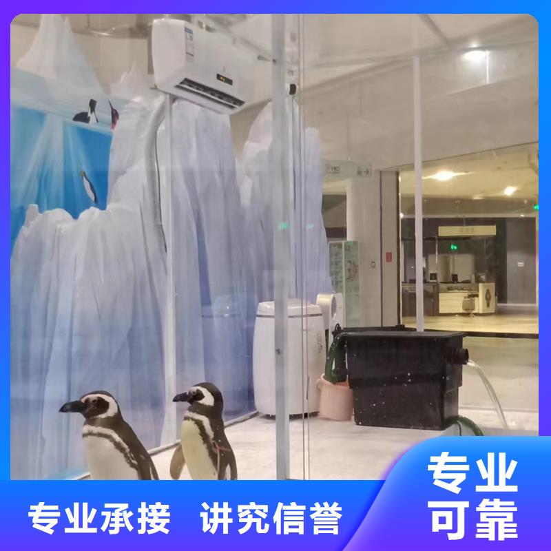海洋主题动物表演马戏团表演解决方案