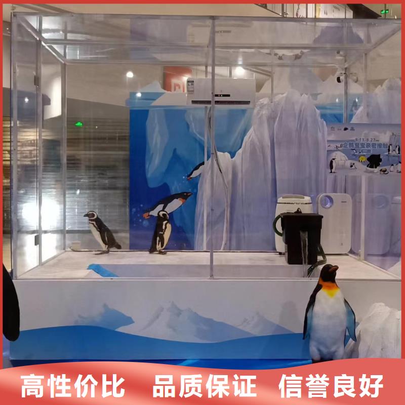 马戏团表演-视频-马戏团表演-广东省梅州市五华|丰顺|珠海|汕头|河源|潮州|肇庆|茂名|韶关(同城)经销商