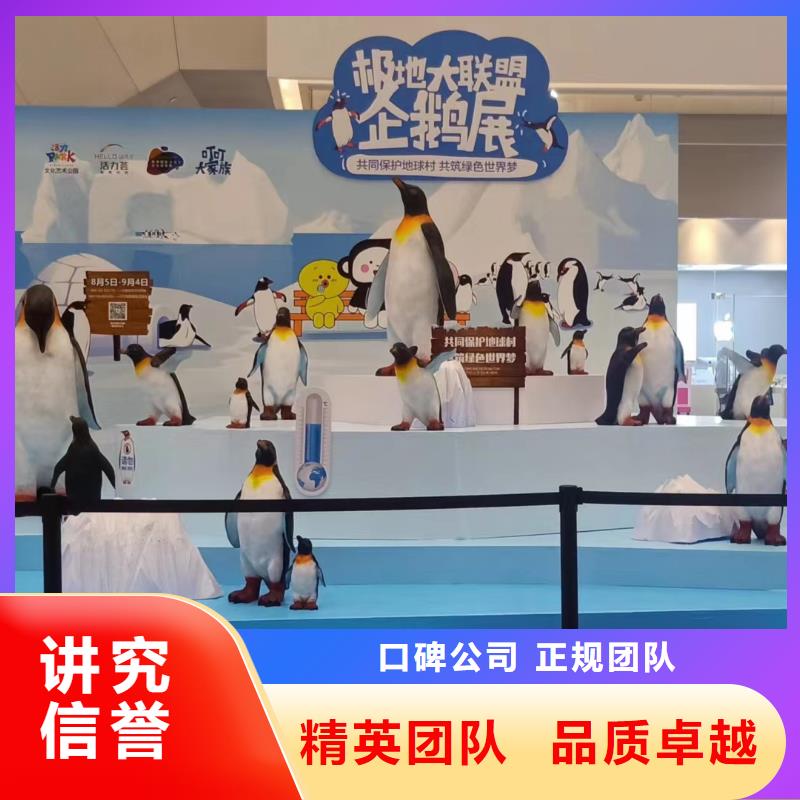 海洋主题动物表演海狮表演出租解决方案