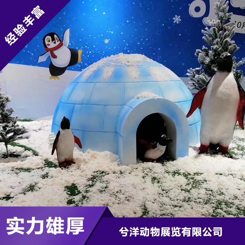 海洋主题动物表演 萌宠动物展出租实力商家