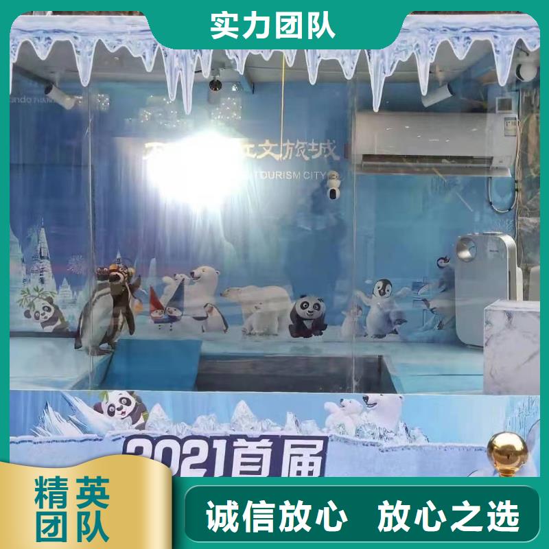 海洋主题动物表演 小马戏出租精英团队