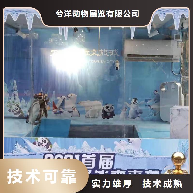 海洋主题动物表演房地产开盘庆典团队