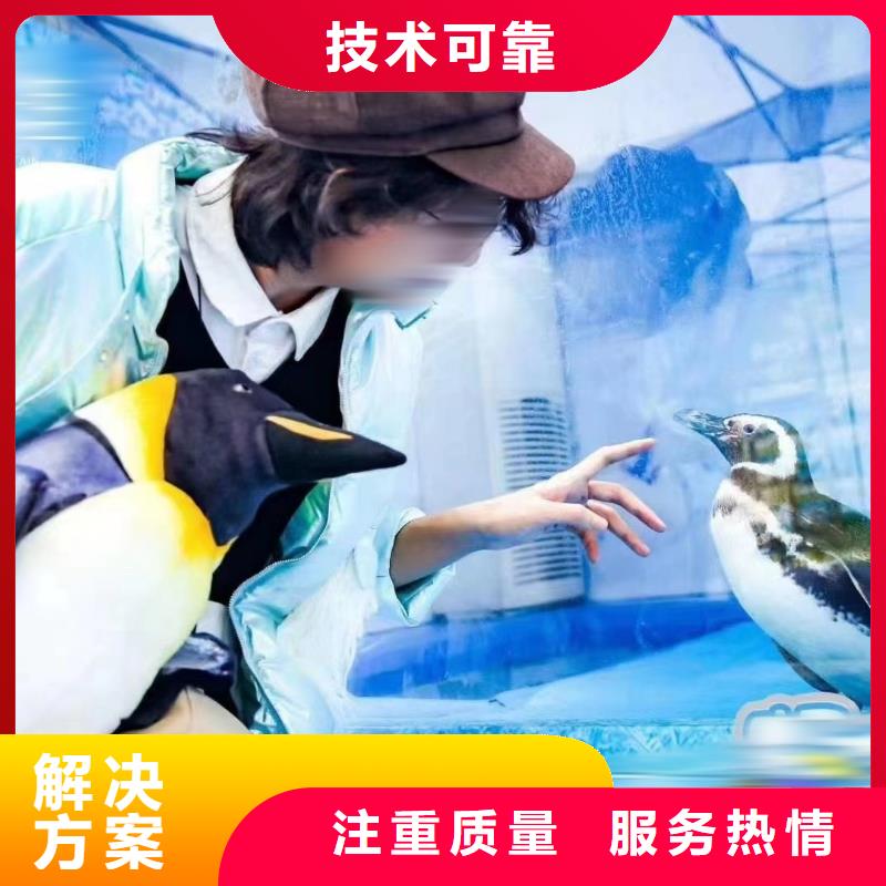 海洋主题动物表演房地产开盘庆典团队