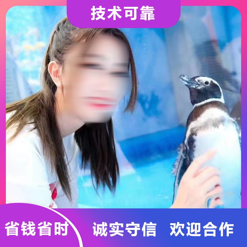 【海洋主题动物表演】_【海狮杂技表演】解决方案