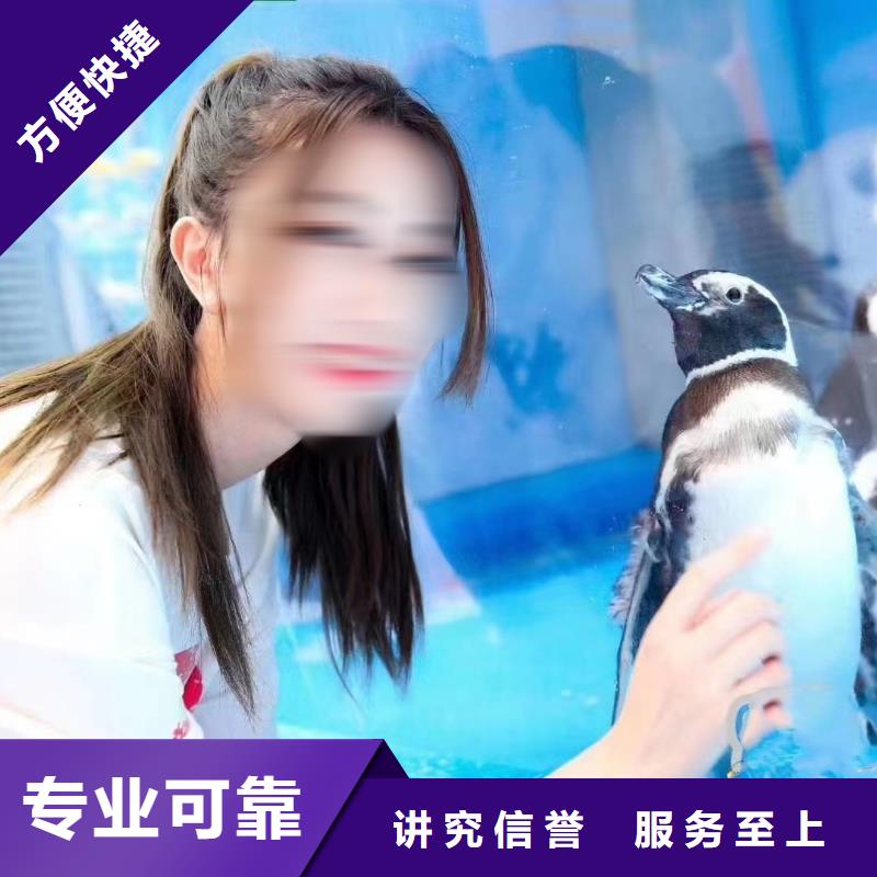 海洋主题动物表演 小马戏出租精英团队