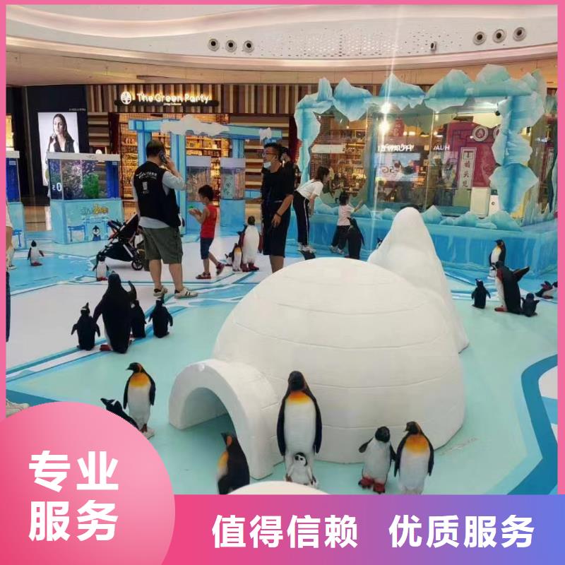 海洋主题动物表演马戏团表演出租租赁价格透明