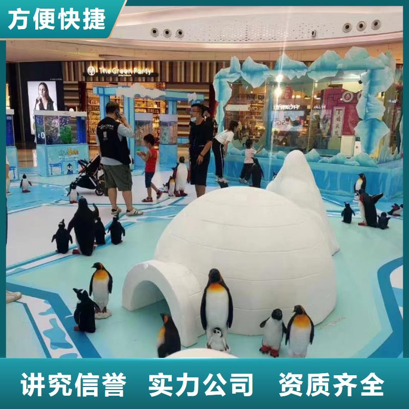 海洋主题动物表演动物表演专业