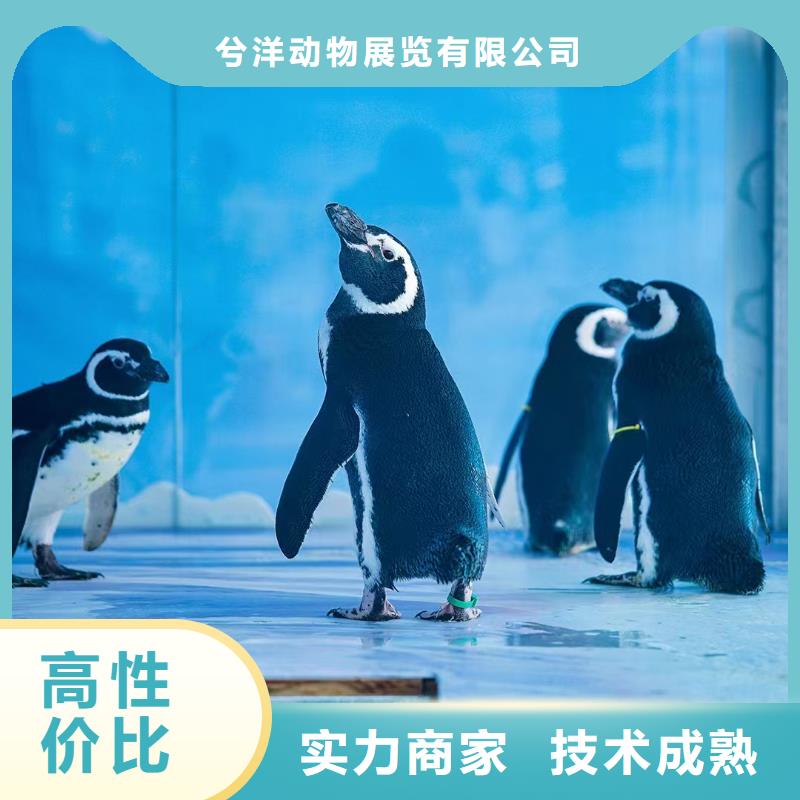 海洋生物展租赁公司全国承接