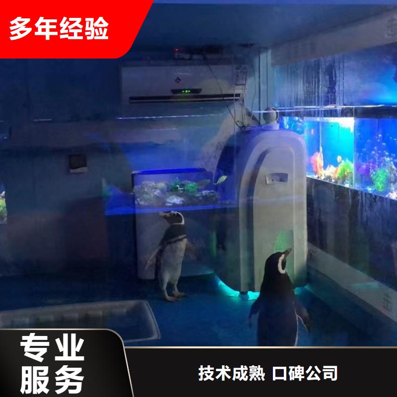 海洋主题动物表演 萌宠动物展出租实力商家
