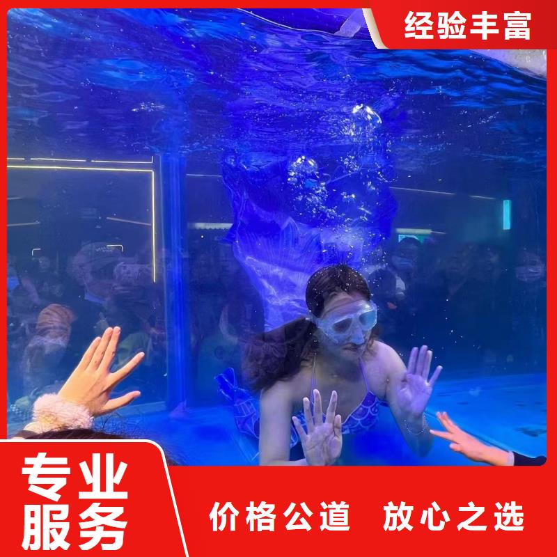 【海洋主题动物表演】_【海狮杂技表演】解决方案