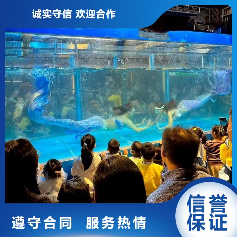 海洋主题动物表演出租羊驼专业公司