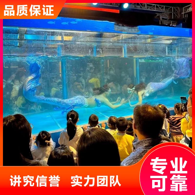 海洋主题动物表演-马戏团表演出租欢迎合作