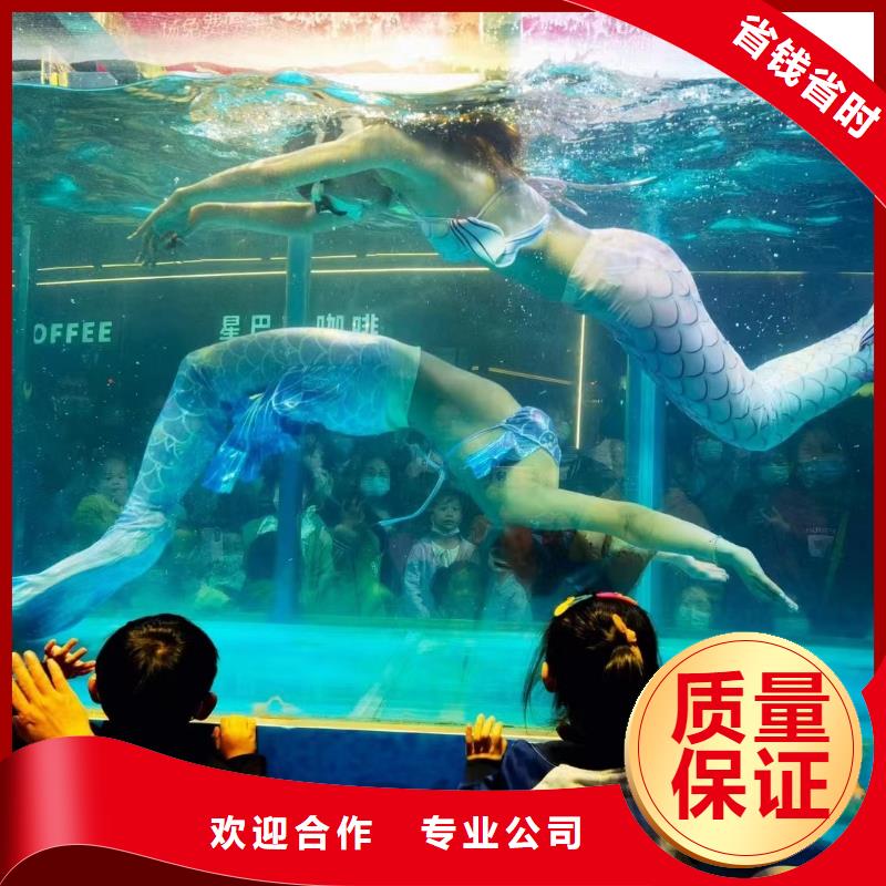 海洋主题动物表演出租表演鹦鹉价格低于同行
