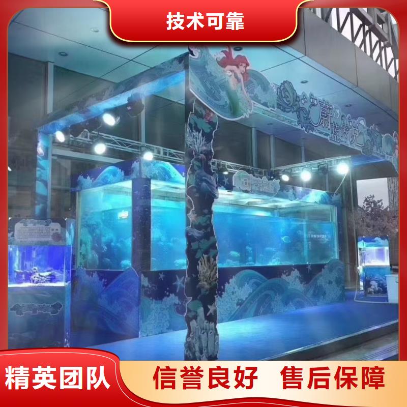 海洋主题动物表演 企鹅租赁放心之选