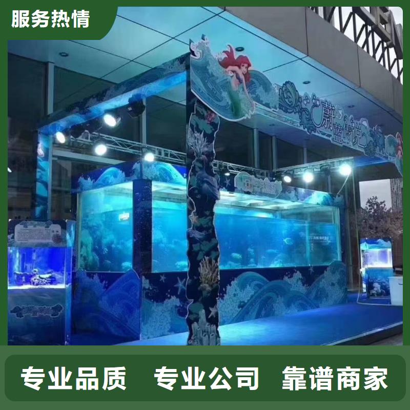 海洋主题动物表演_美人鱼表演出租专业服务