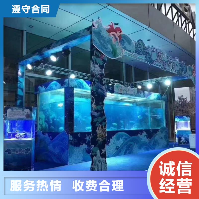 海洋主题动物表演-马戏团表演出租欢迎合作