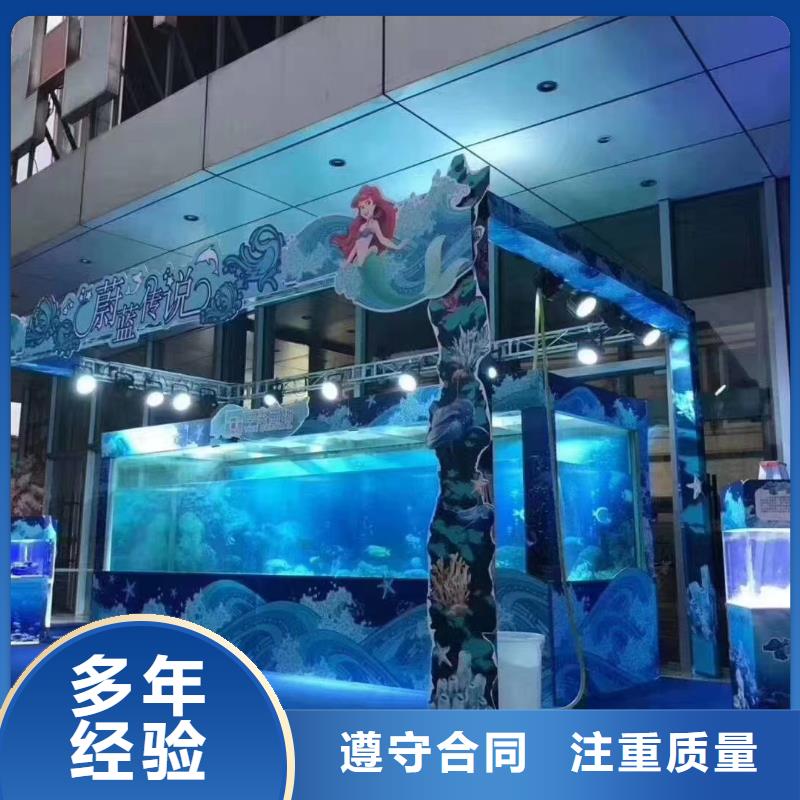 海洋主题动物表演,马戏团表演出租租赁一站式服务