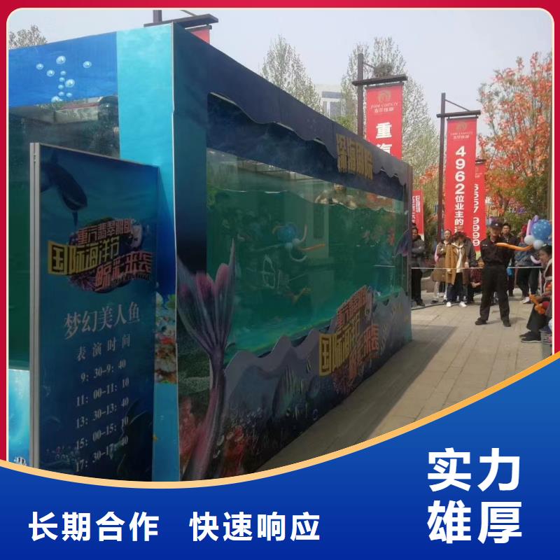 海洋主题动物表演 羊驼出租技术比较好
