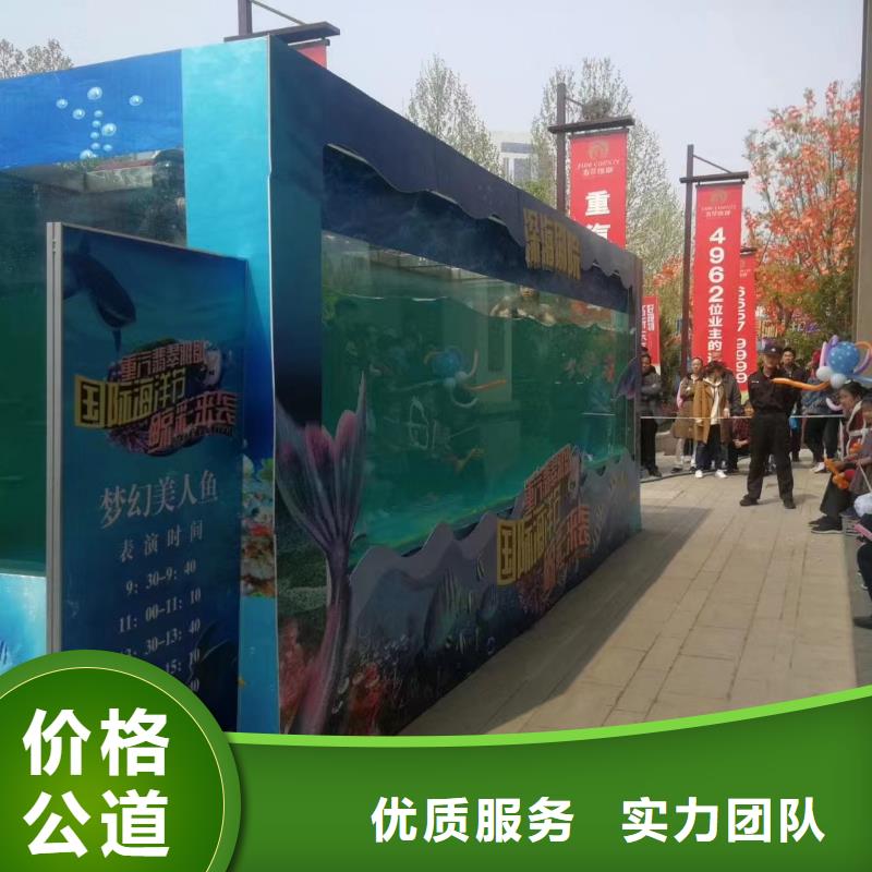 海洋主题动物表演_海狮表演出租信誉良好
