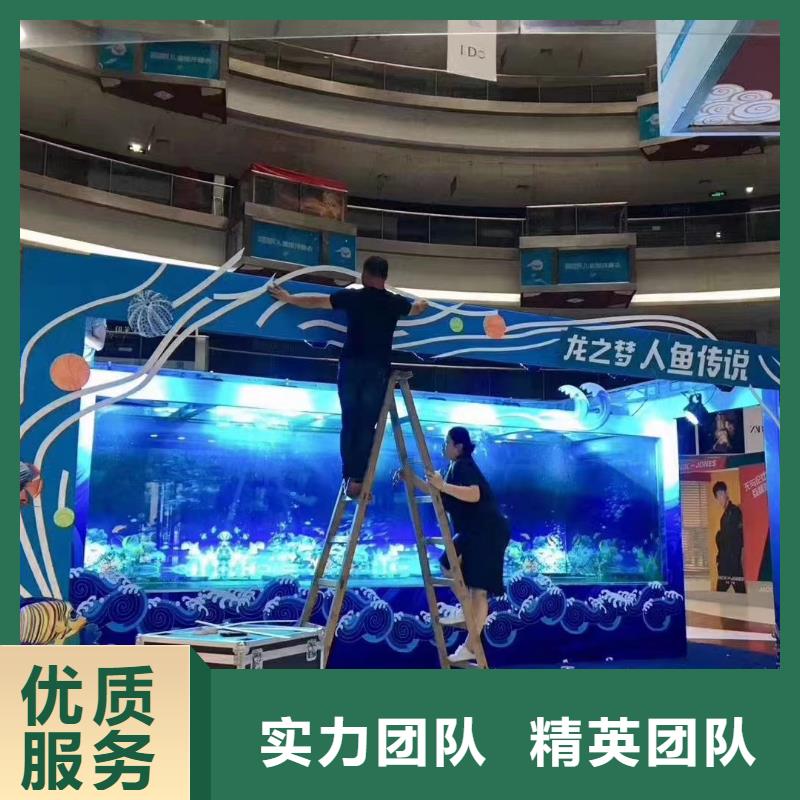 海洋主题动物表演【海狮杂技表演】免费咨询