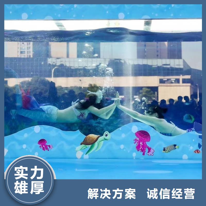 海洋主题动物表演_海狮表演出租收费合理