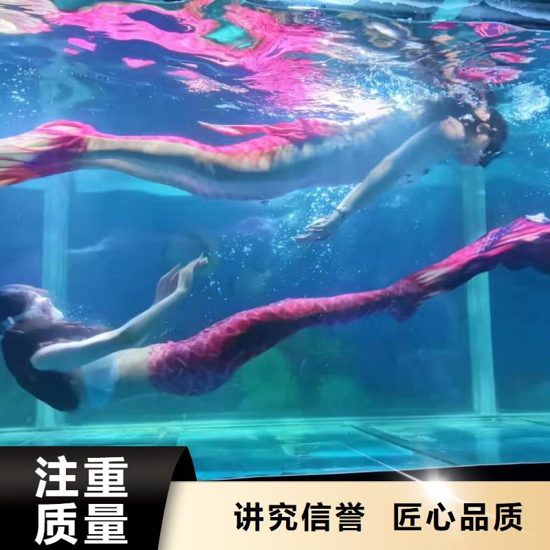 海洋主题动物表演表演羊驼租赁一对一服务