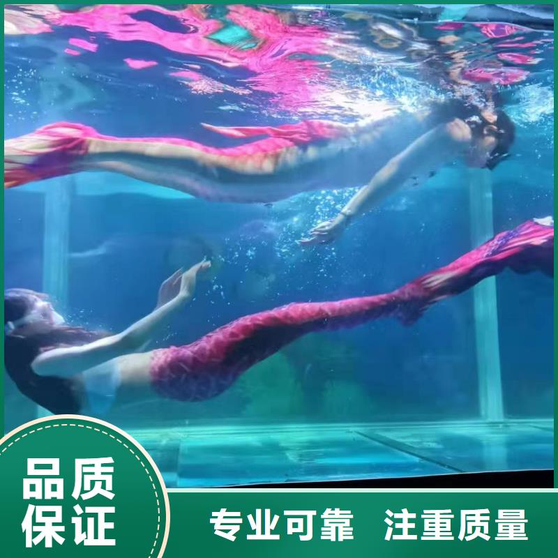 海洋主题动物表演小马戏表演出租高品质