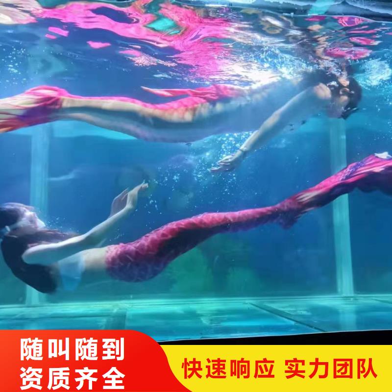 海洋主题动物表演小马戏出租专业品质