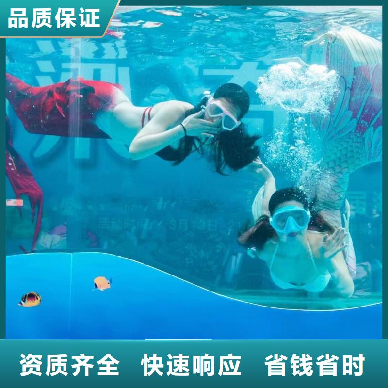 海洋主题动物表演【【海狮租赁表演】】良好口碑