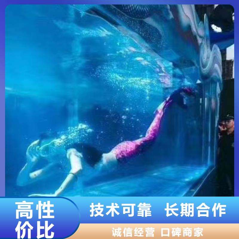 【海洋主题动物表演海狮表演出租案例丰富】