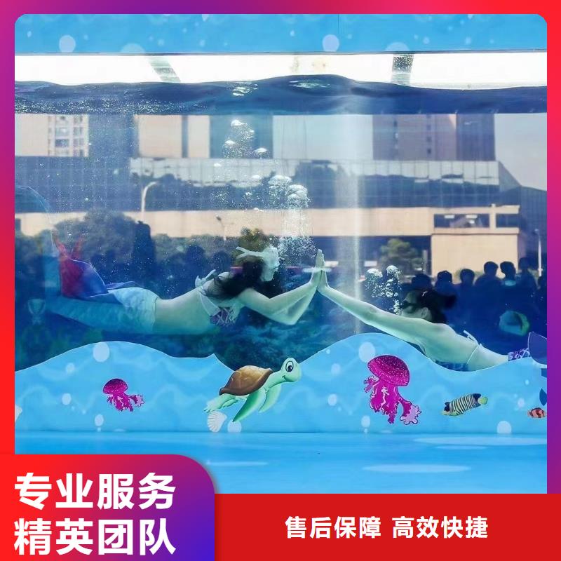 海洋主题动物表演动物杂技表演租赁快速