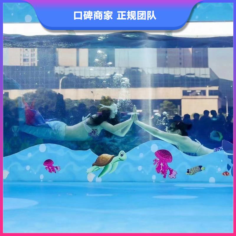 海洋主题动物表演【海狮表演租赁】欢迎合作