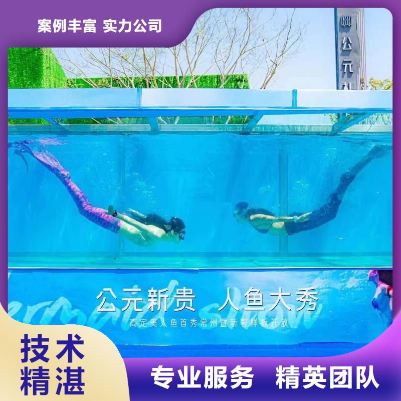 【海洋主题动物表演】企鹅租赁专业品质