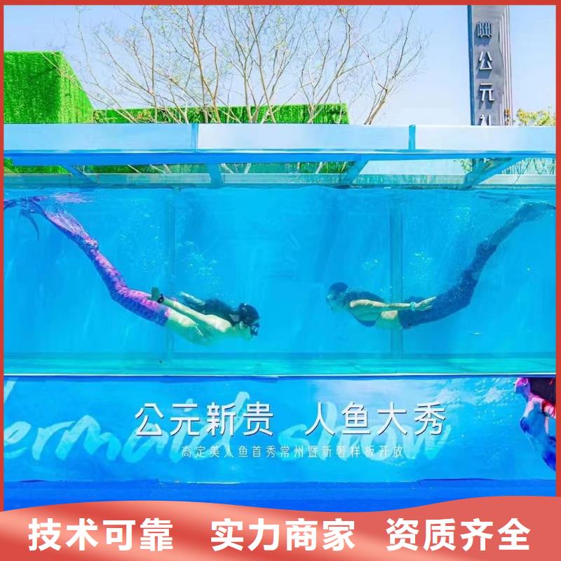 海洋主题动物表演_杂耍演出省钱省时