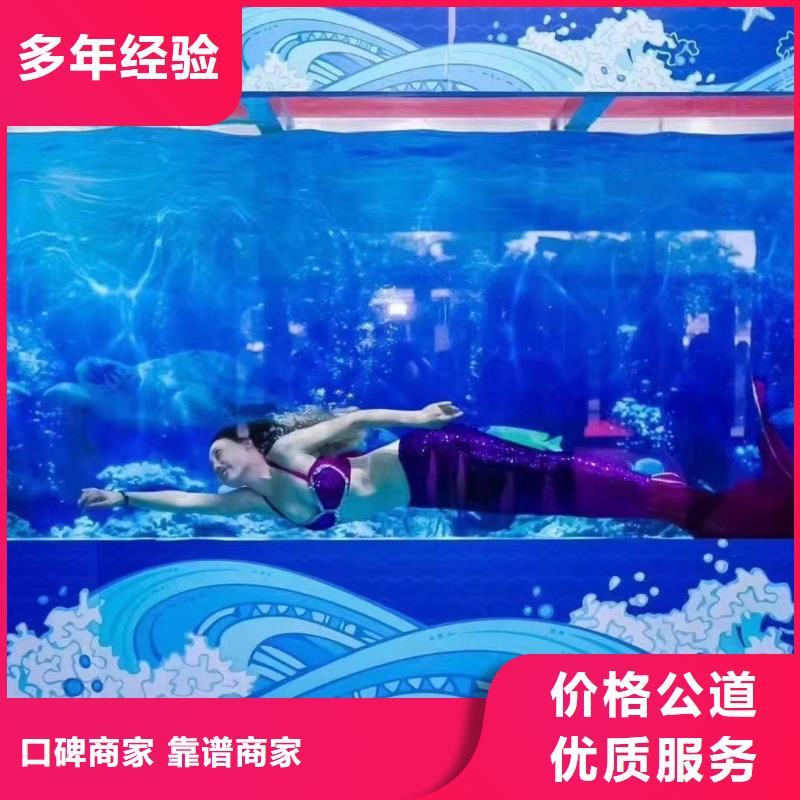 海洋主题动物表演【【海狮租赁表演】】快捷