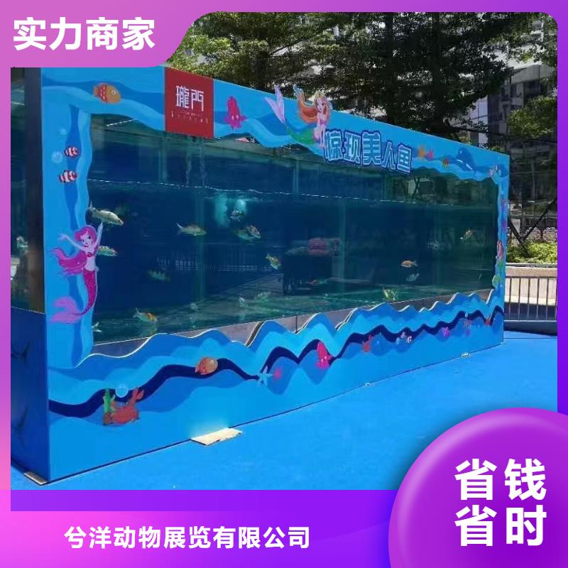 海洋主题动物表演鹦鹉表演租赁价格美丽
