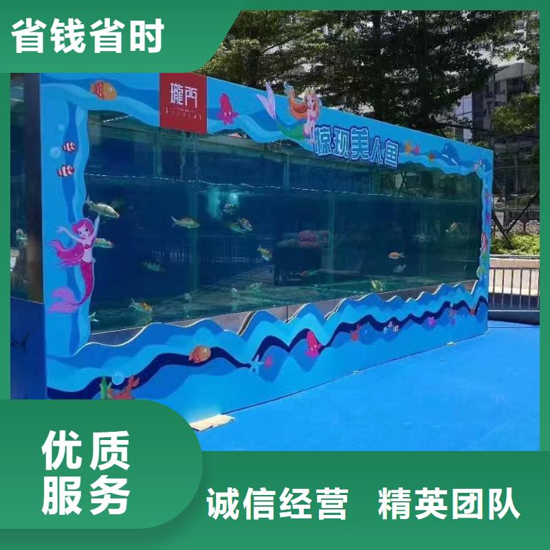海洋主题动物表演_马戏团表演有实力
