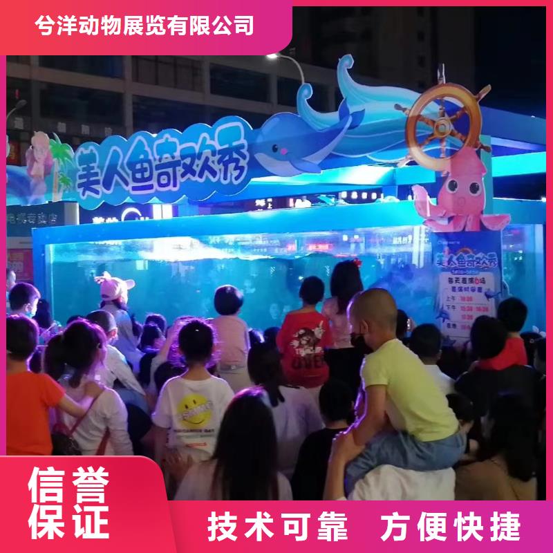 海洋主题动物表演出租表演鹦鹉价格低于同行