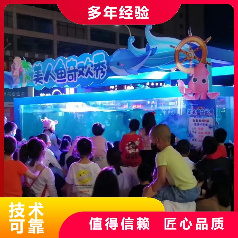 海洋主题动物表演出租表演海狮一对一服务