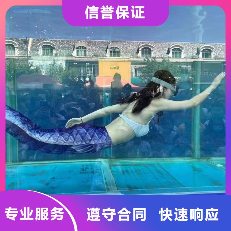 海洋主题动物表演景区杂技表演注重质量