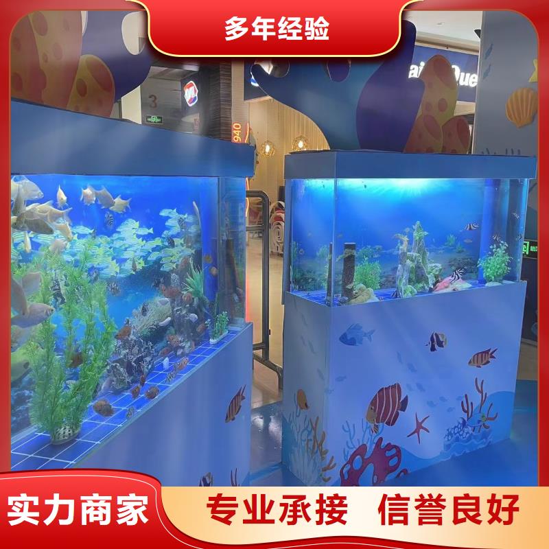 海洋主题动物表演羊驼出租