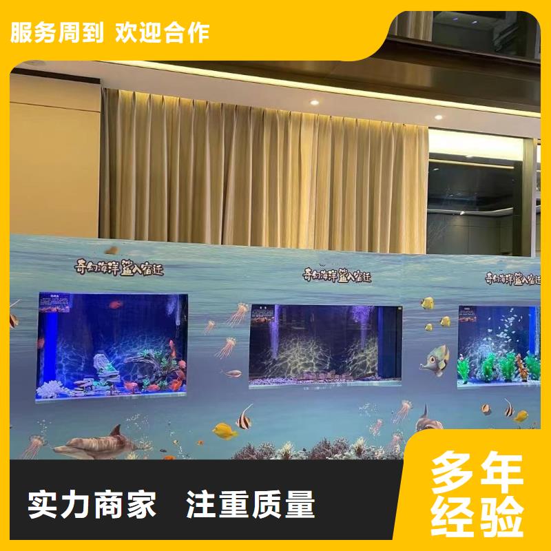 海洋主题动物表演_海狮表演出租资质齐全