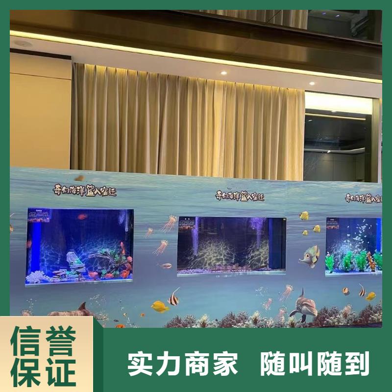 海洋主题动物表演,出租表演企鹅