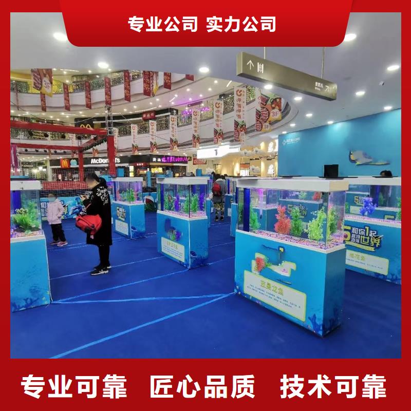 海洋主题动物表演出租表演海狮一对一服务