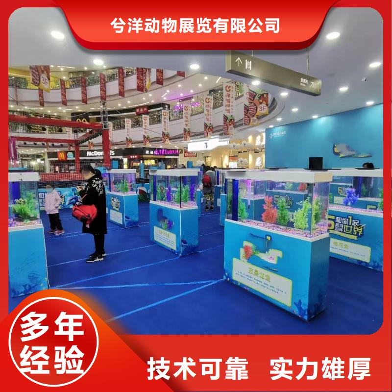 海洋主题动物表演海洋展租赁口碑公司