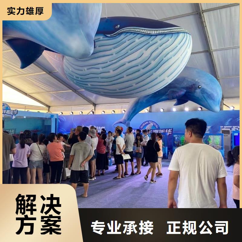 海洋主题动物表演羊驼出租质优价廉
