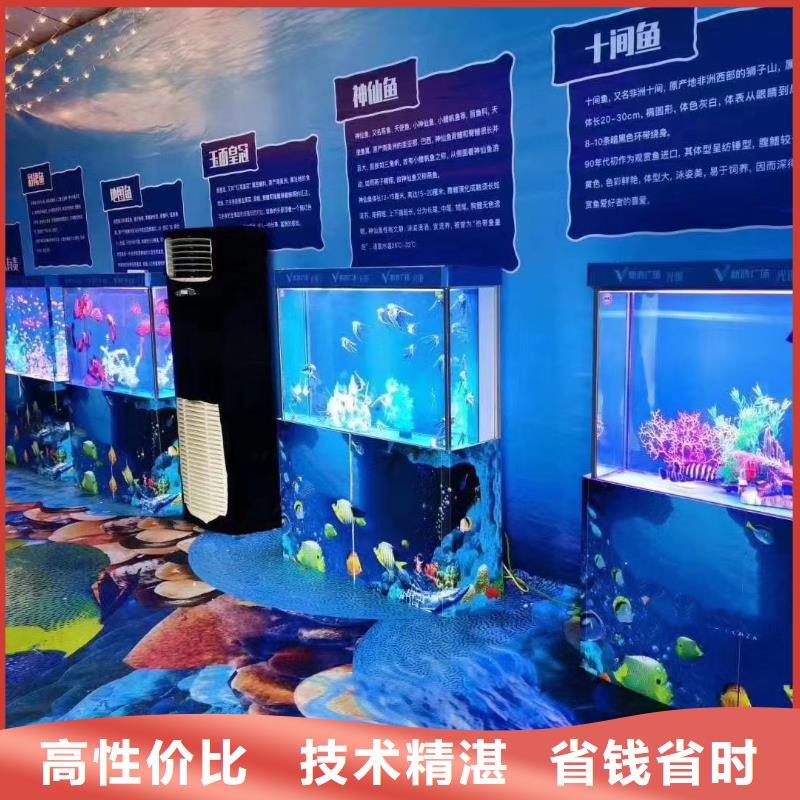 【海洋主题动物表演海狮表演出租案例丰富】